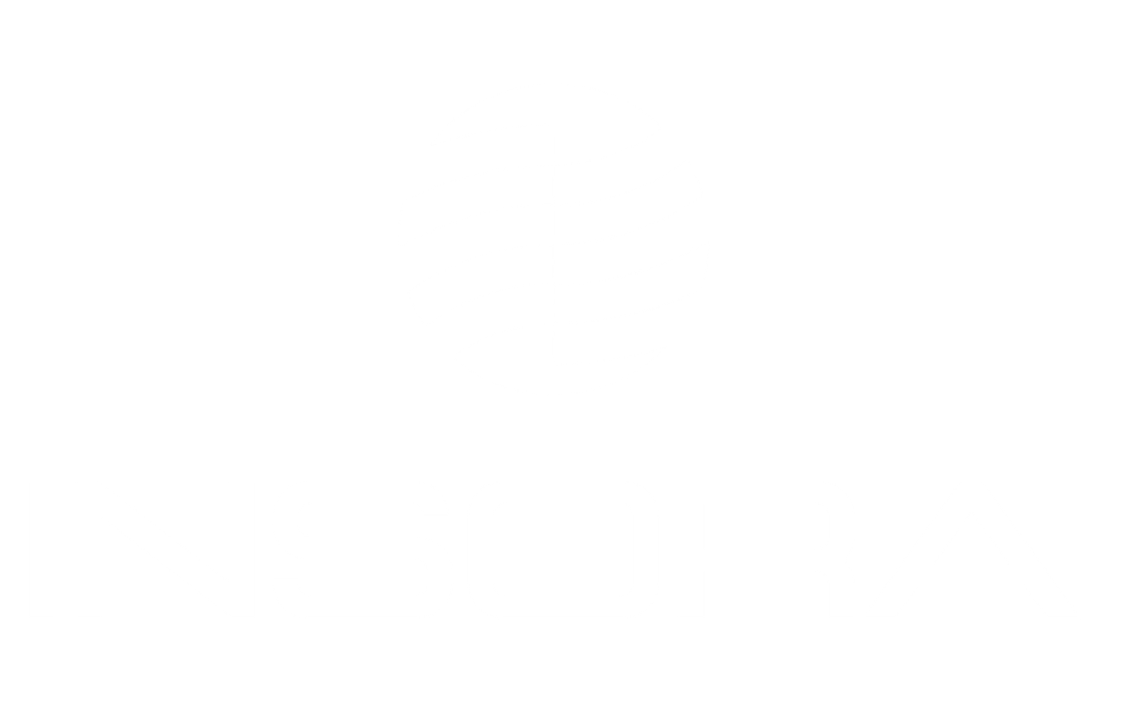 INSORA Logo